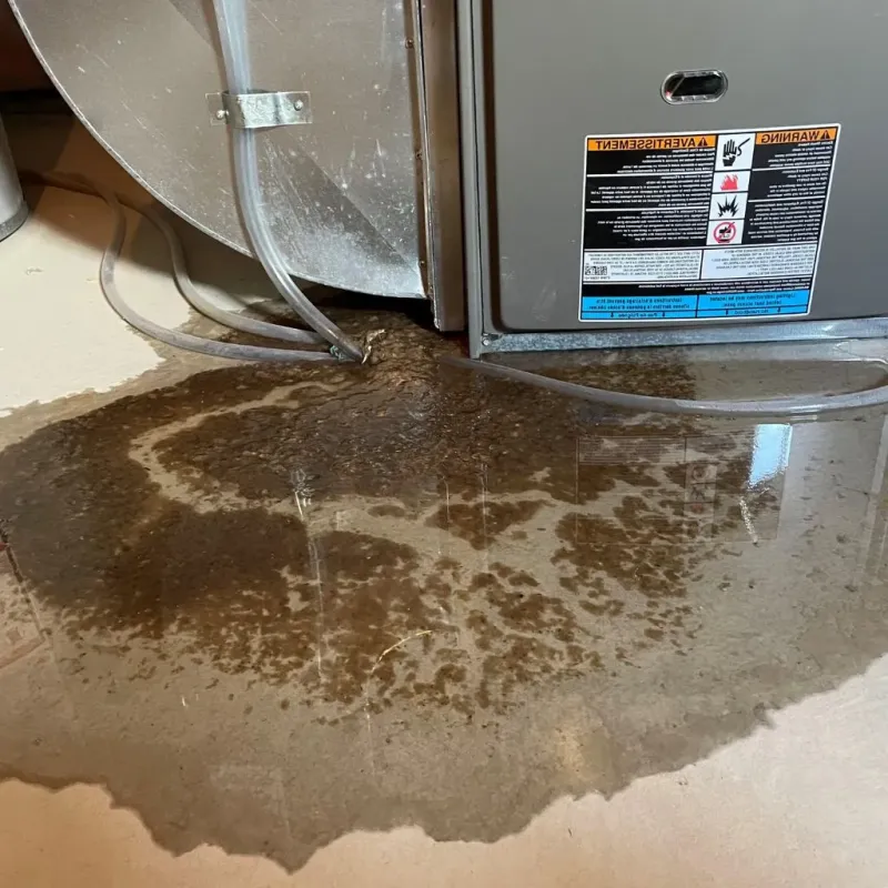 Pipe Burst and Leak Restoration in Bushwick, NY